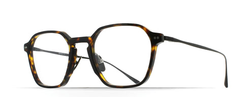 ASTON TORTOISE/BLACK