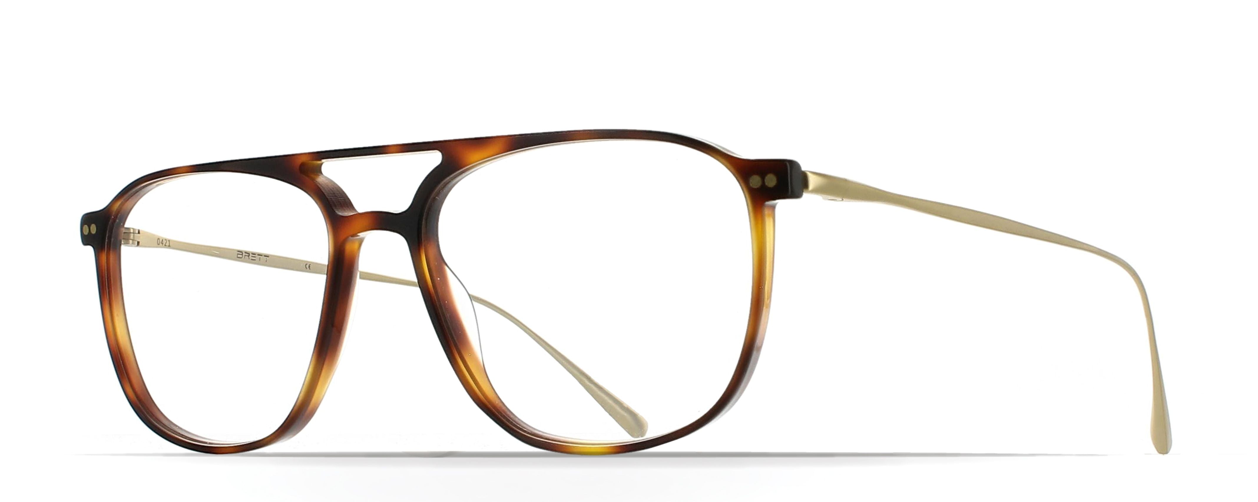 GARY TORTOISE/COPPER