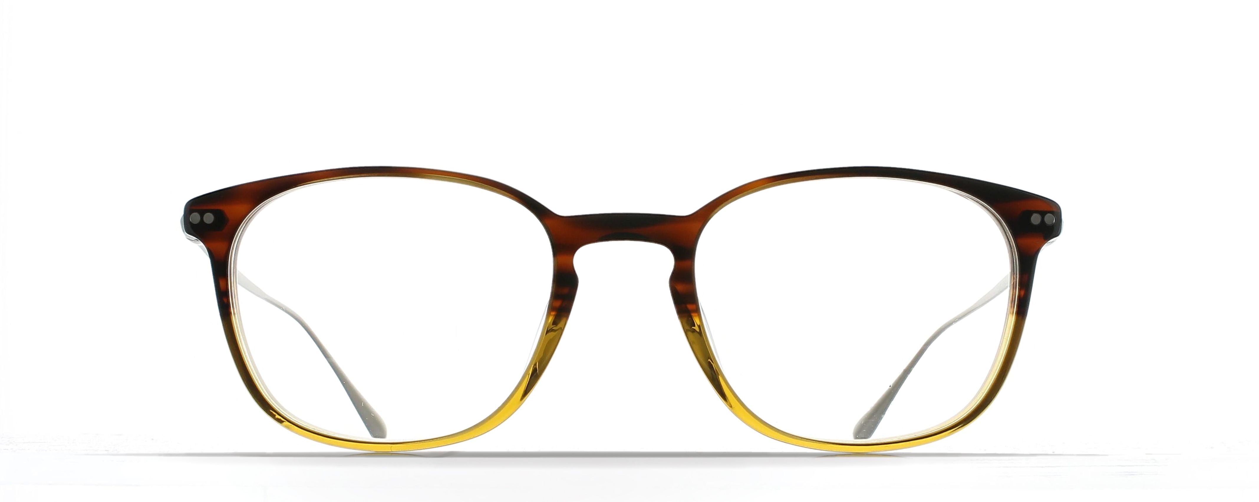 JAMES GRADIENT BROWN/SILVER