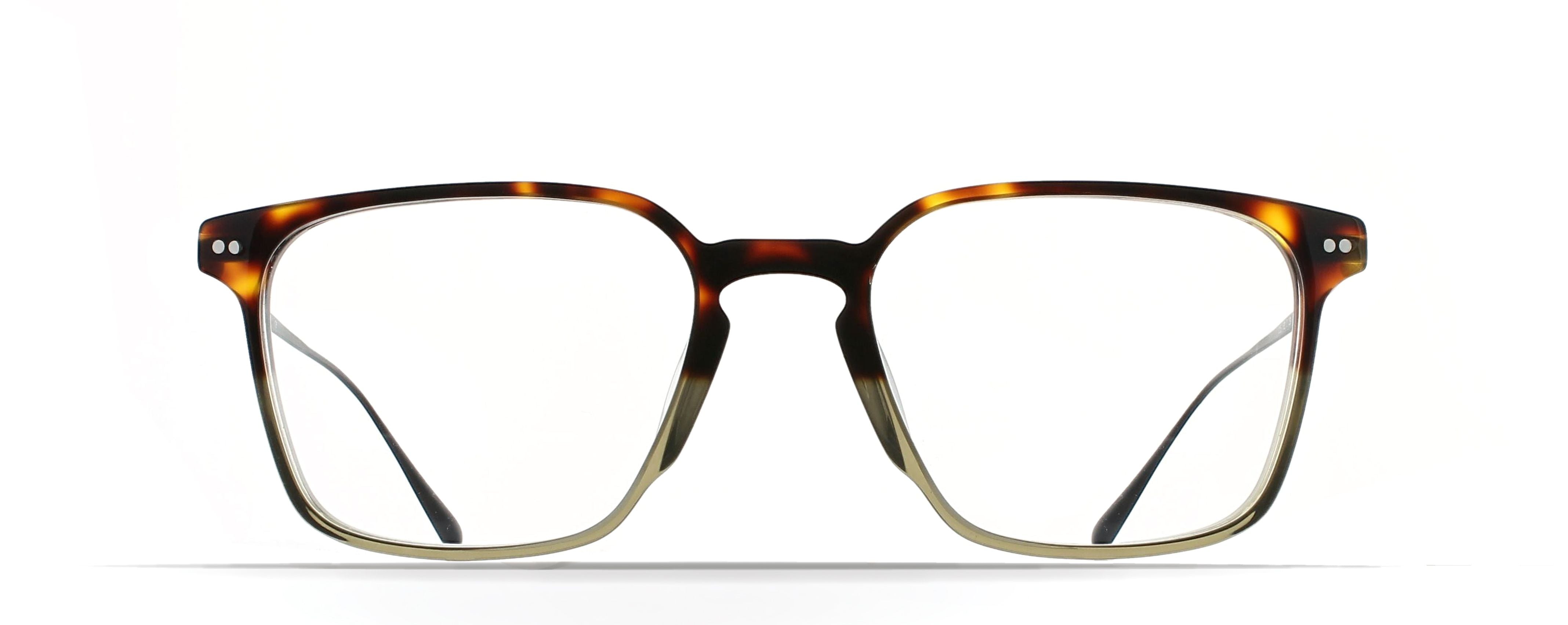 DAVID KHAKI GRADIENT TORTOISE/BLACK