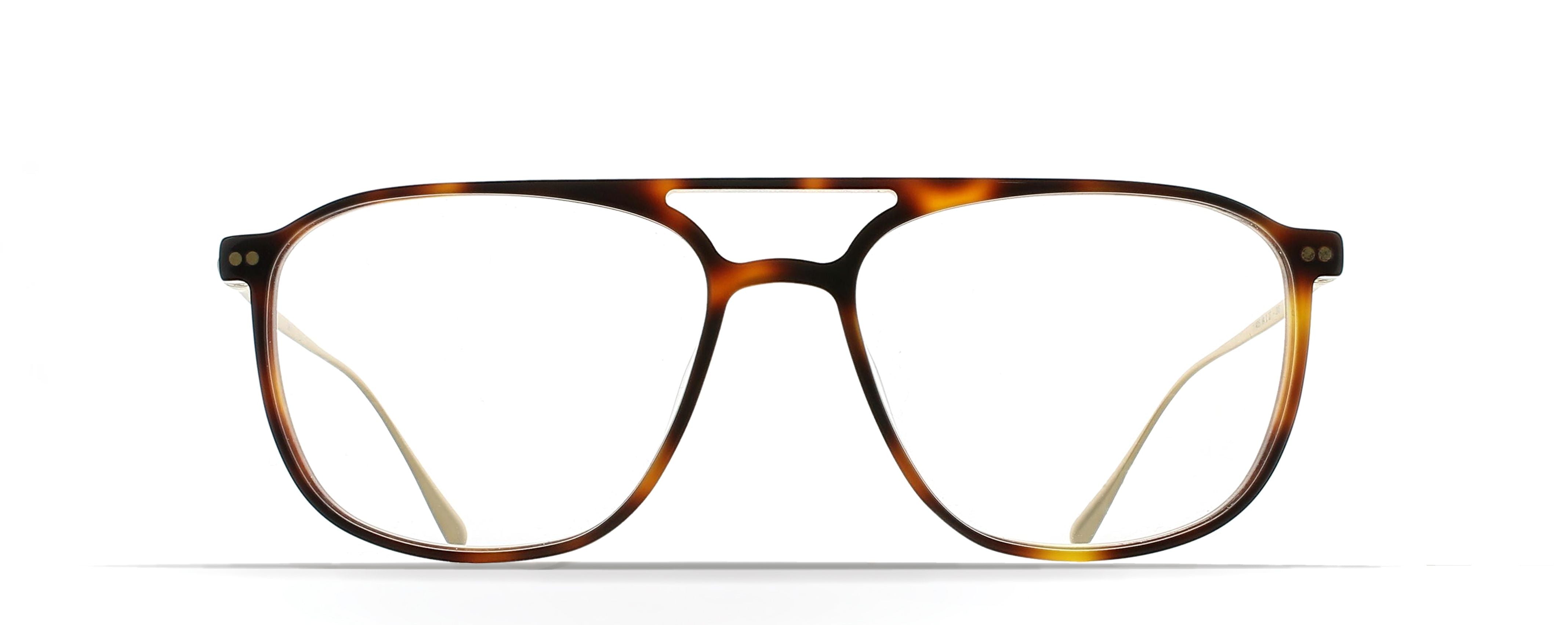 GARY TORTOISE/COPPER