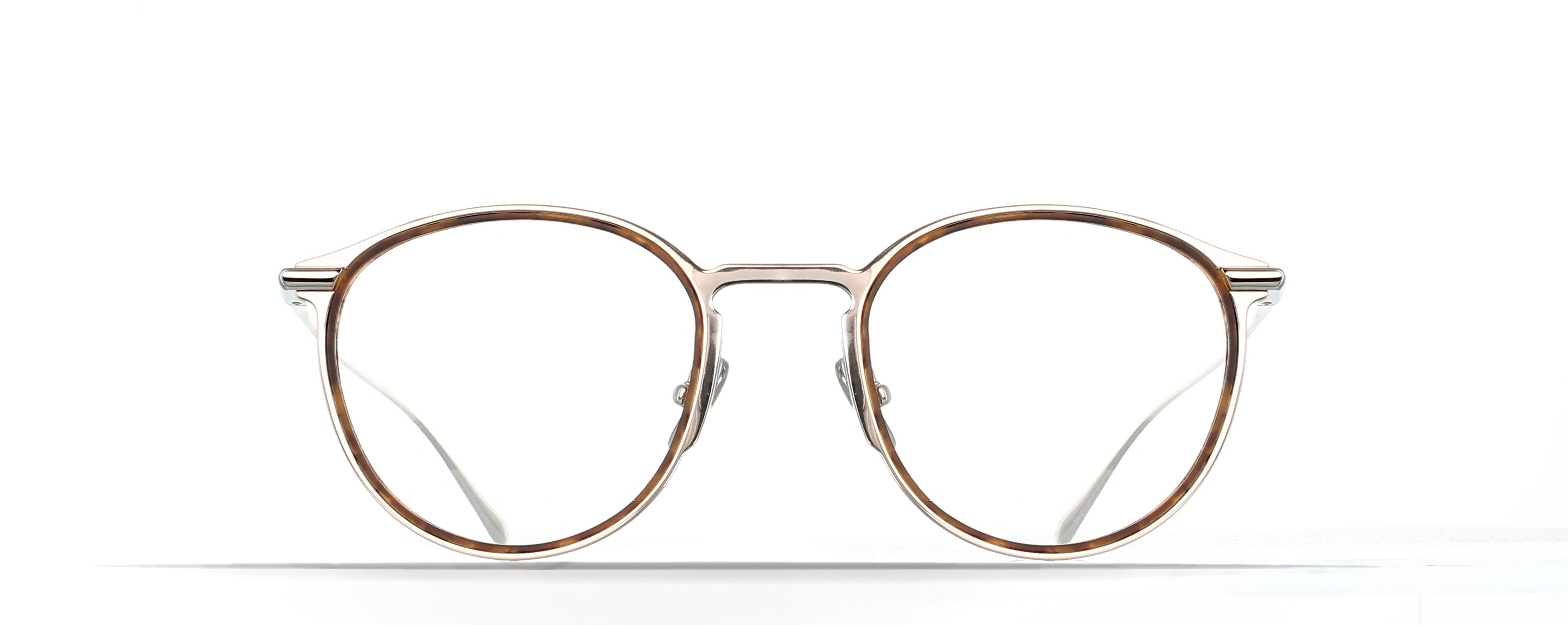 MARIO SILVER/TORTOISE